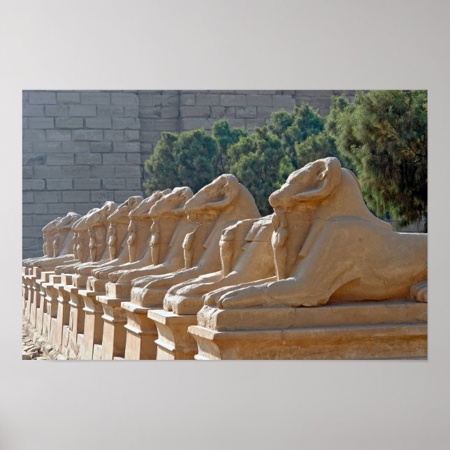 Avenue of Sphinxes in Karnak Temple - Ägypten Poster (Vorne)