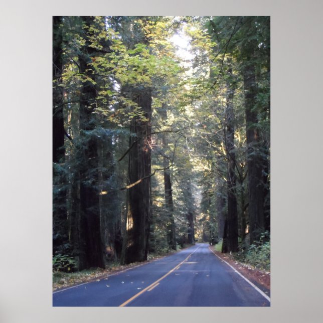 Avenue of the Giants - Humboldt Redwoods Staat Par Poster (Vorne)