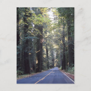 Avenue of the Giants - Humboldt Redwoods Staat Par Postkarte