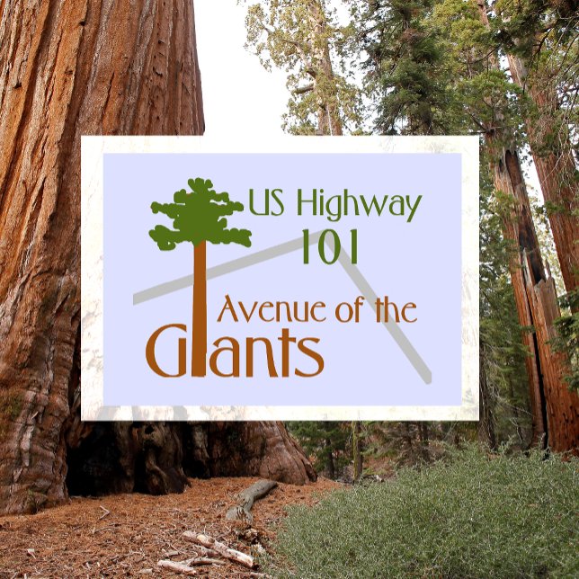 Avenue of the Giants Humboldt Redwoods Staat Park Postkarte (Von Creator hochgeladen)