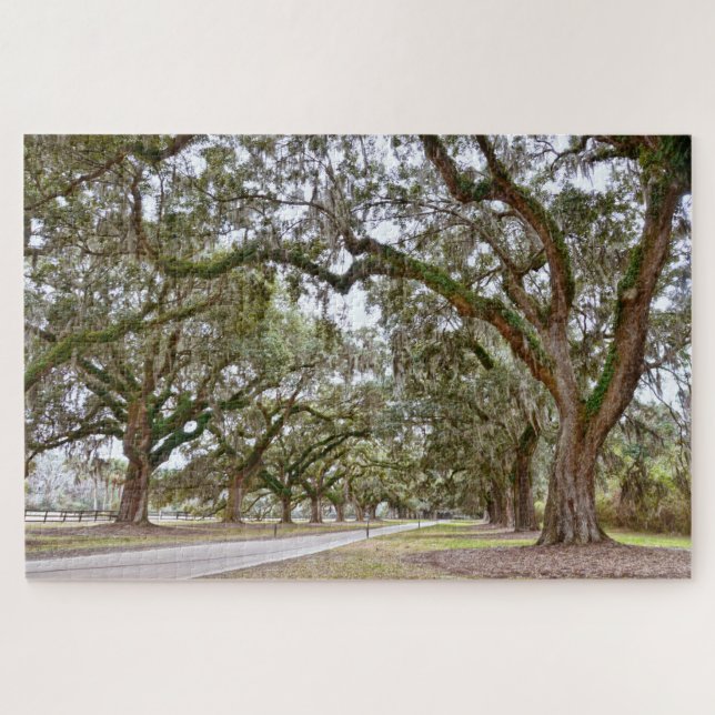 Avenue of the Oaks, South Carolina Puzzle (Horizontal)