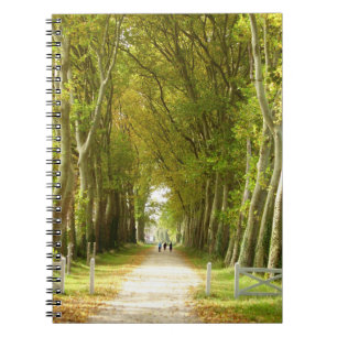 Avenue of Trees Foto Notebook Notizblock
