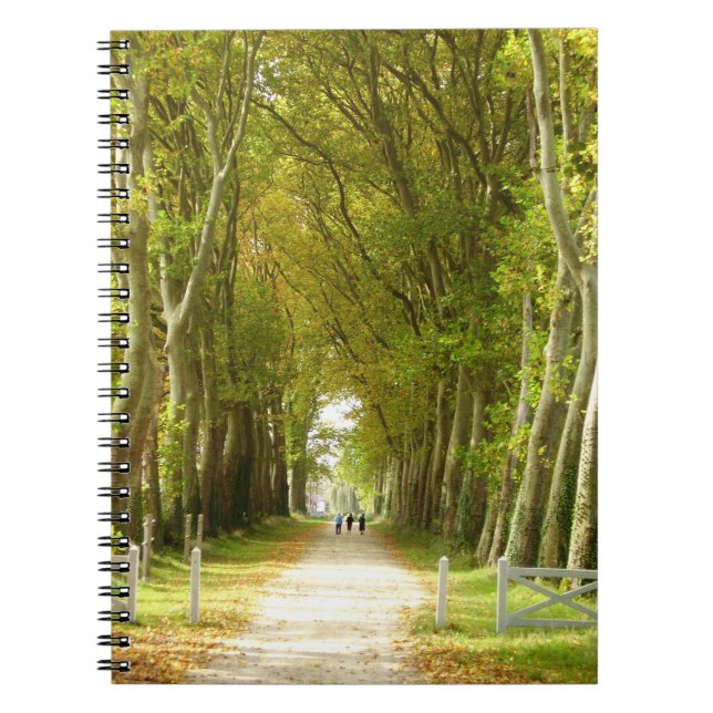Avenue of Trees Foto Notebook Notizblock (Vorderseite)