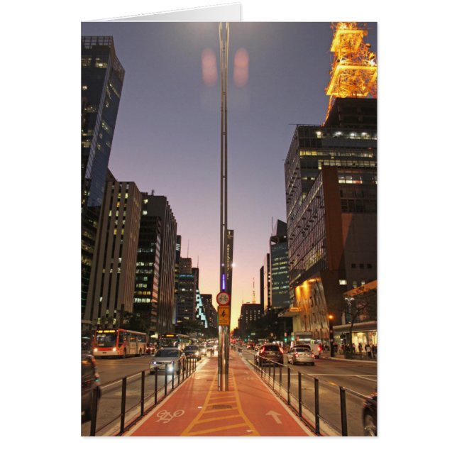 Avenue Paulista - São Paulo (Vorne)