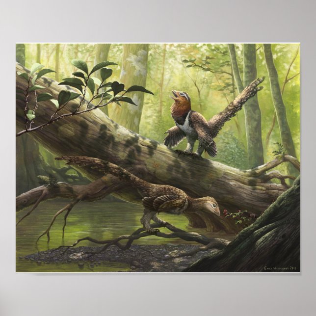 Avian Balaur bondoc Poster (Vorne)