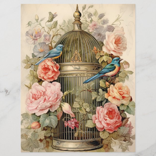 Avian Beauty Scrapbook Paper (Vorderseite)