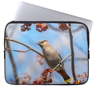 Aviäre Fotografie, Bohemisches Waxwing Laptopschutzhülle