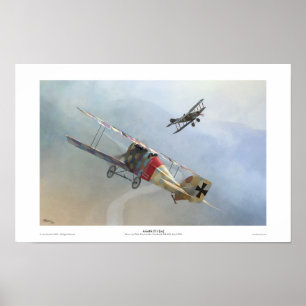 Aviatik Poster