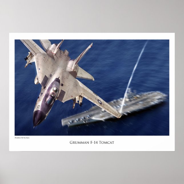 Aviation Art Poster "F-14 Tomcat" (Vorne)