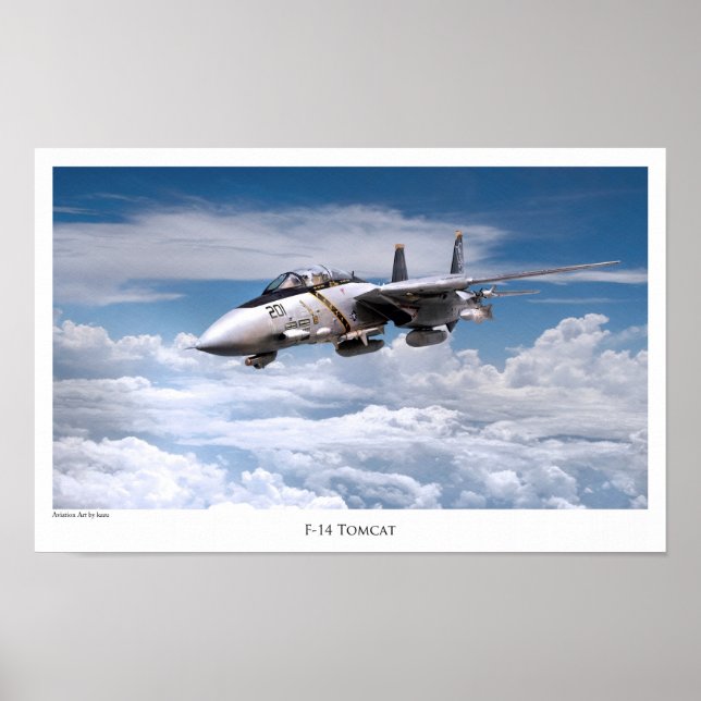 Aviation Art Poster "F-14 Tomcat" (Vorne)