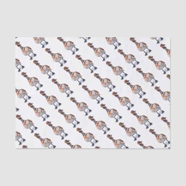 Aviator Goose Seidenpapier (Vorderseite)