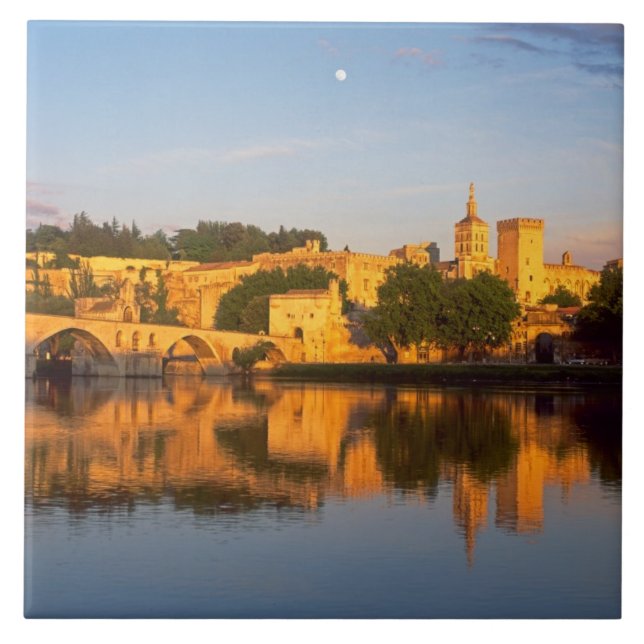 Avignon, Vaucluse, Provence, Frankreich, Rhone Fliese (Vorderseite)
