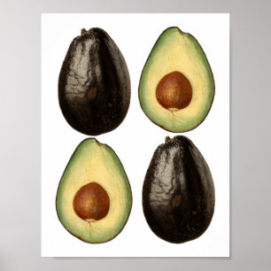 Avocado Aquarellmalereien Gartenfruchtkunst Poster