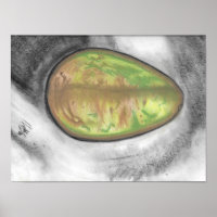 Avocado - Ölpastellöl - Stillleben Leinwand-