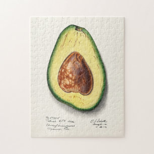 Avocado (Persa) Frucht-Aquarellmalerei Puzzle