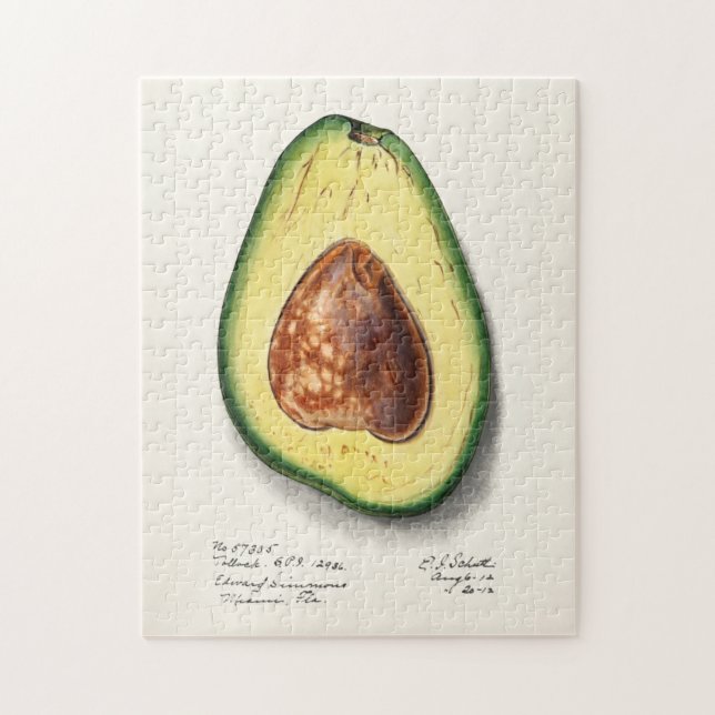 Avocado (Persa) Fruchtfarben Puzzle (Vertikal)