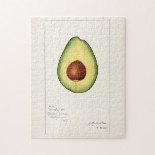 Avocado (Persea) Frucht Aquarellmalerei Puzzle