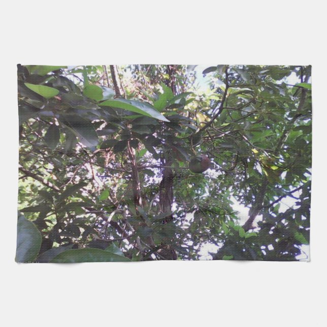 Avocado Tree Geschirrtuch (Horizontal)