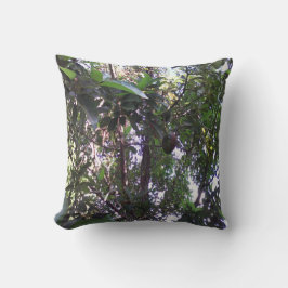 Avocado Tree Kissen
