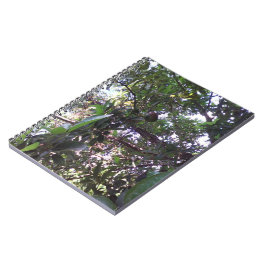 Avocado Tree Notizblock