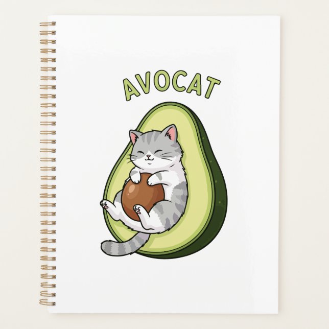 Avocat-Kutness Planer (Vorderseite)