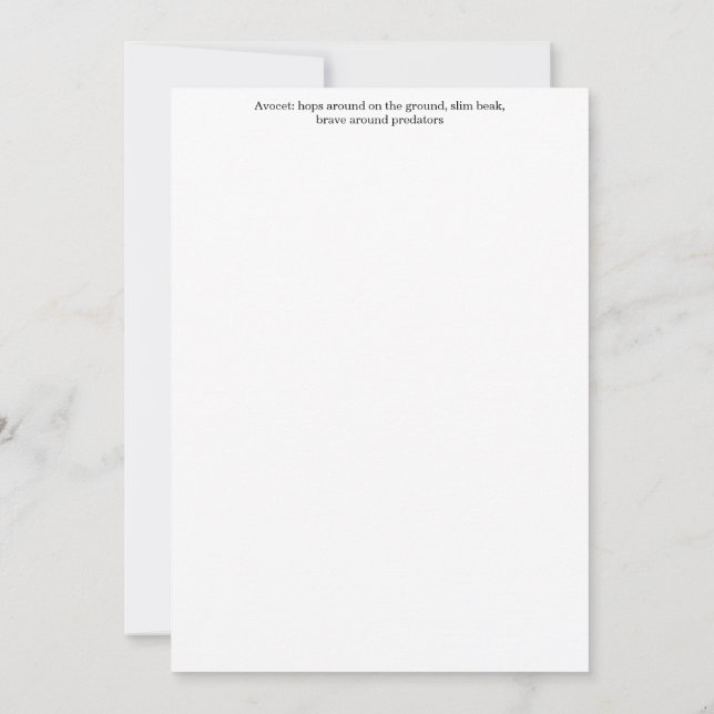 Avocet Greeting Card Einladung (Rückseite)