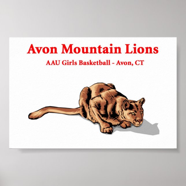Avon Mountain Lions - Basketball Club Poster (Vorne)