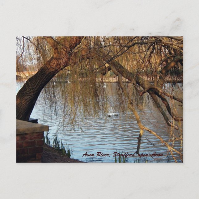 Avon River, Stratford-upon-Avon Postkarte (Vorderseite)