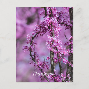 Avondale Redbud Art danke Ihnen Postcard Postkarte