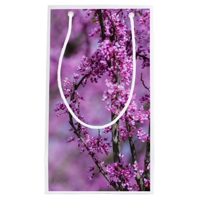Avondale Redbud Art Kleine Geschenktüte (Vorderseite)