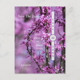 Avondale Redbud Art Save the Date Postkarte