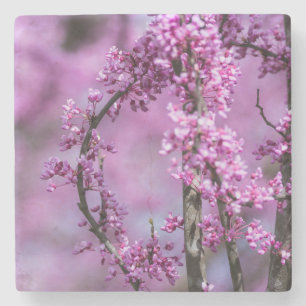 Avondale Redbud Art Steinuntersetzer