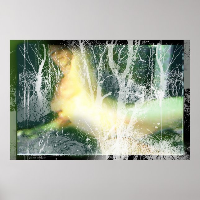 Awake by Gregory Gallo Poster (Vorne)