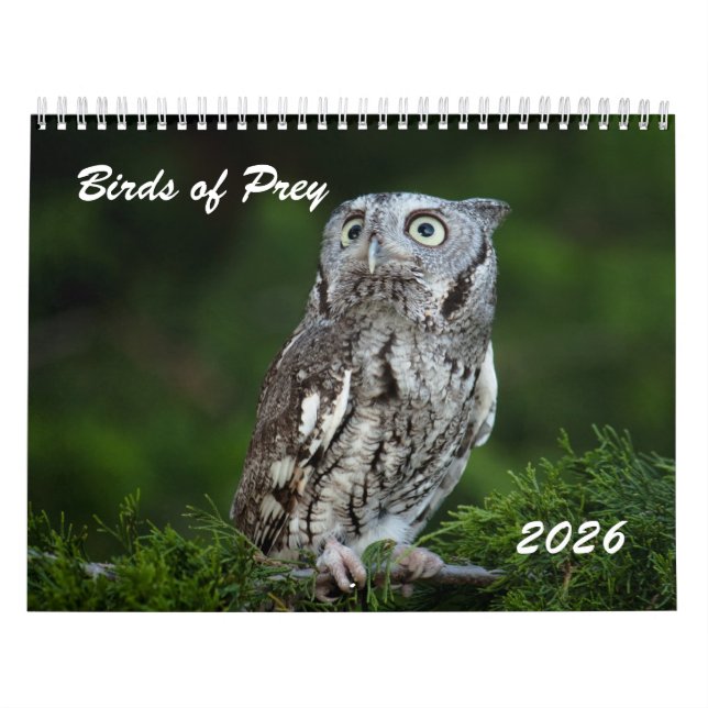 Awesome Birds of Prey 2026 photo calendar Kalender (Titelbild)