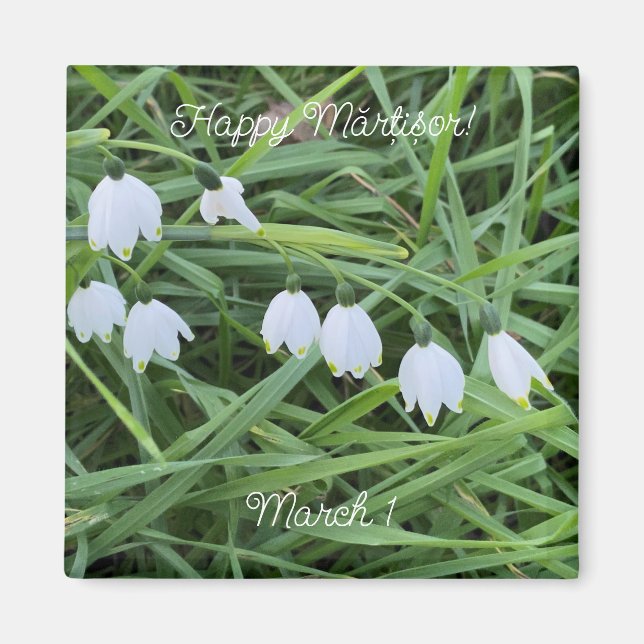 aWorld2Celebrate: Glücklich Mărțișor! Magnet (Vorne)