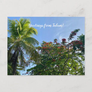 aWorld2Celebrate: Grüße von Tulum! Postkarte