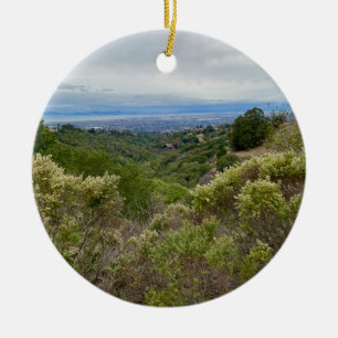 aWorld2Celebrate: Hayward, CA Keramik Ornament