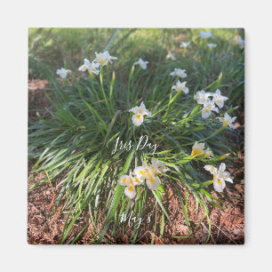 aWorld2Celebrate: Iris Day Magnet