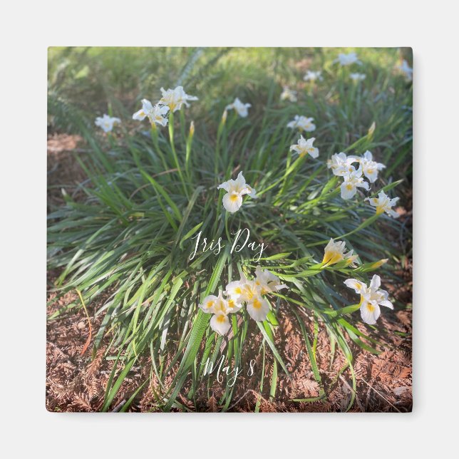 aWorld2Celebrate: Iris Day Magnet (Vorne)