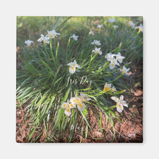 aWorld2Celebrate: Iris Day Magnet (Vorne)