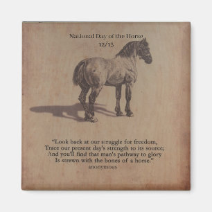 aWorld2Celebrate: Nationalfeiertag des Pferdes Magnet