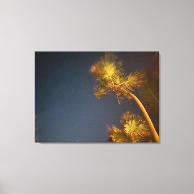 aWorld2Celebrate: Starry Palms Leinwanddruck (Vorderseite)