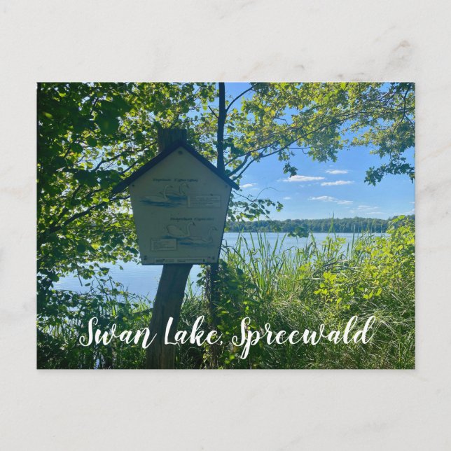 aWorld2Celebrate: Swan Lake, Spreewald Postkarte (Vorderseite)