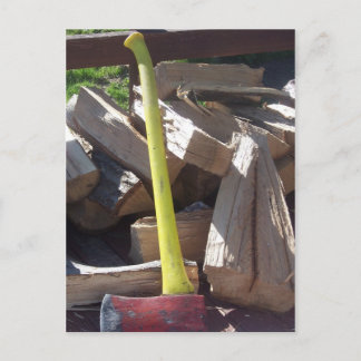 Ax Postkarte