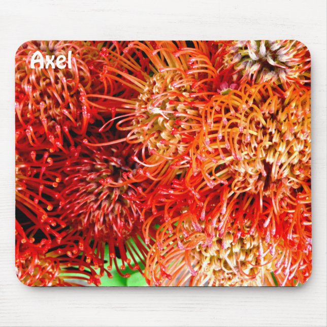 AXEL ~ Personalisiert streitige Banksia ~ Mousepad (Vorne)