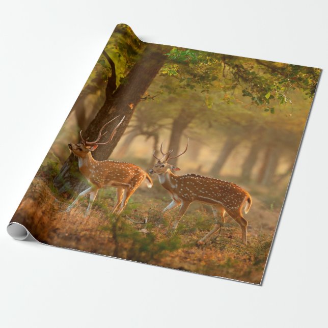 Axishirsch oder Cheetal, Axis axis, gefleckte Hirs Geschenkpapier (Ungerollt)