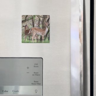 Axishirsch-Wildlife-Premium-Magnet Magnet