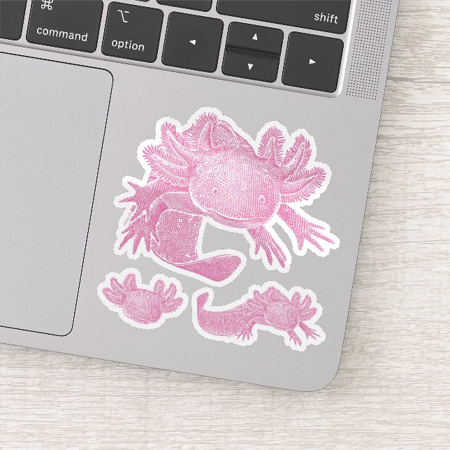 Axolotl-Aufkleber - ROSA - 3er Pack Aufkleber (Detail)