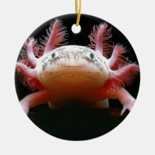 Axolotl Axolotl.png Keramik Ornament