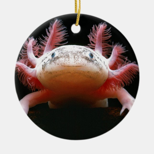 Axolotl Axolotl.png Keramik Ornament (Vorne)